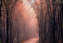 非凡体育：羽毛球世界冠军进校园!青岛启元学校校园内掀起运动热潮.