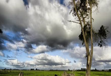 NBA的交易有多残酷？哈特投篮热身时通知被交易，巴恩斯最惨.