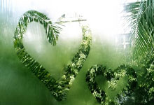 非凡体育：中国男篮大胜蒙古 胡金秋20分廖三宁13+9.