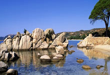 多特vs柏林联合首发：吉拉西、阿德耶米先发，科贝尔、萨比策出战.